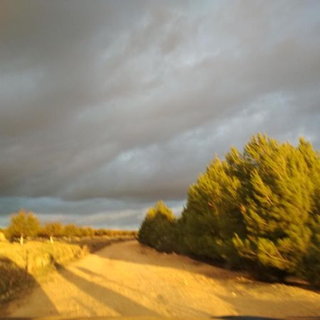 Casa Rural La Galana Albacete Chinchilla de Monte Aragón Exteriör bild