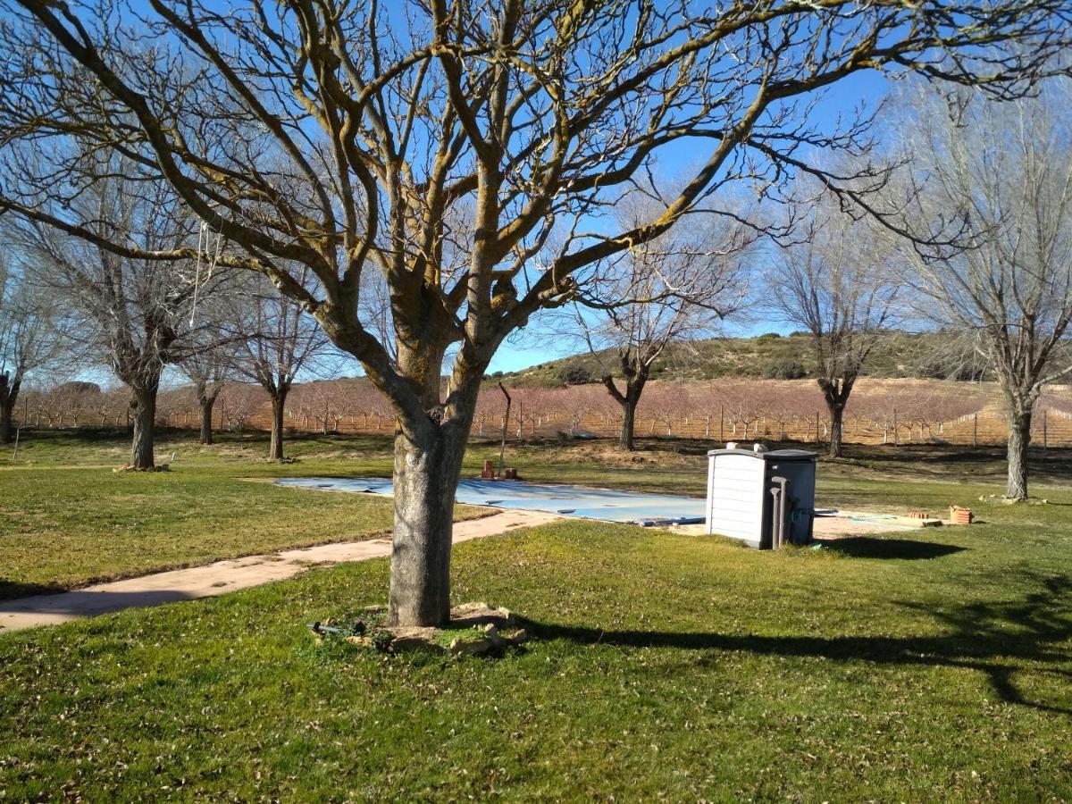 Casa Rural La Galana Albacete Chinchilla de Monte Aragón Exteriör bild