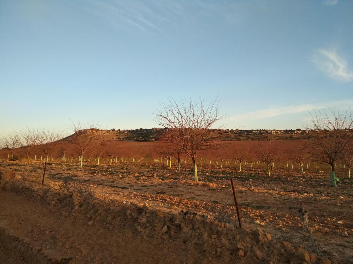 Casa Rural La Galana Albacete Chinchilla de Monte Aragón Exteriör bild