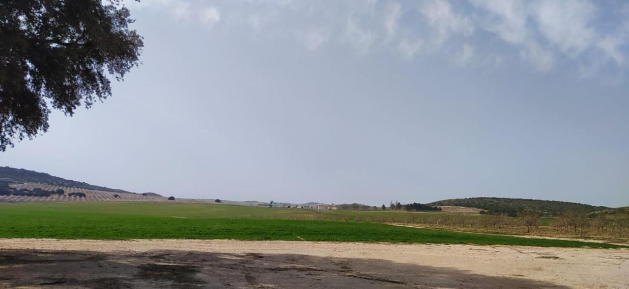 Casa Rural La Galana Albacete Chinchilla de Monte Aragón Exteriör bild